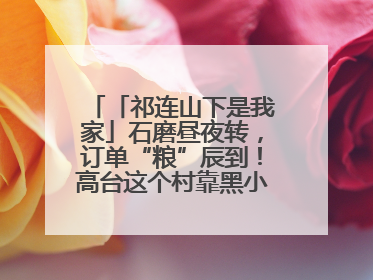 「祁连山下是我家」石磨昼夜转，订单“粮”辰到！高台这个村靠黑小麦面粉拿下成立来最大订单