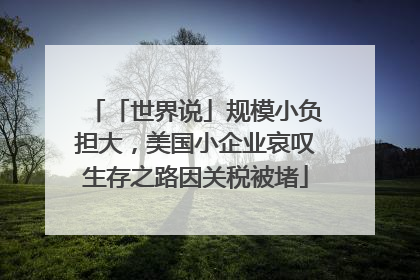 「世界说」规模小负担大，美国小企业哀叹生存之路因关税被堵