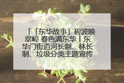 「东华故事」碧波映翠嶂 春色满东华丨东华门街道河长制、林长制、垃圾分类主题宣传如火如荼中