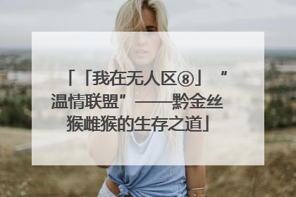 「我在无人区⑧」“温情联盟”——黔金丝猴雌猴的生存之道