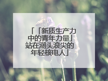 「新质生产力中的青年力量」站在潮头浪尖的年轻核电人
