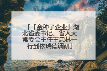 「金种子企业」湖北省委书记、省人大常委会主任王忠林一行到依瑞德调研
