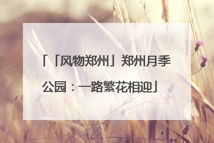 「风物郑州」郑州月季公园：一路繁花相迎