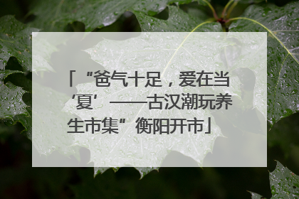 “爸气十足，爱在当‘夏’——古汉潮玩养生市集”衡阳开市