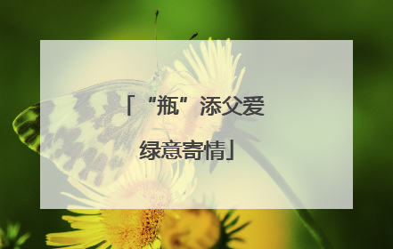 “瓶”添父爱 绿意寄情