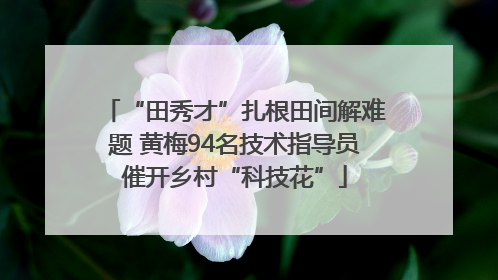 “田秀才”扎根田间解难题 黄梅94名技术指导员催开乡村“科技花”