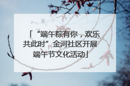 “端午粽有你，欢乐共此时”金河社区开展端午节文化活动