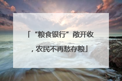 “粮食银行”敞开收，农民不再愁存粮