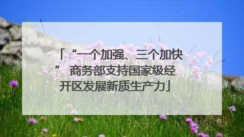 “一个加强、三个加快” 商务部支持国家级经开区发展新质生产力
