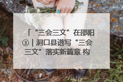 “三会三文”在邵阳③｜洞口县谱写“三会三文”落实新篇章 构建协同联动大格局