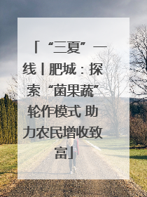 “三夏”一线丨肥城：探索“菌果蔬”轮作模式 助力农民增收致富