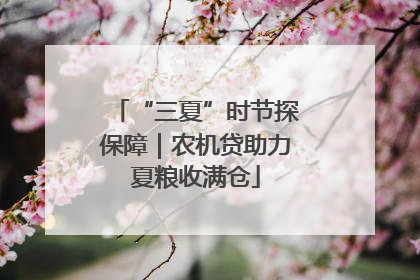 “三夏”时节探保障｜农机贷助力夏粮收满仓