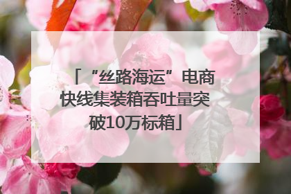 “丝路海运”电商快线集装箱吞吐量突破10万标箱