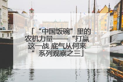 “中国饭碗”里的农机力量——“打赢这一战 底气从何来”系列观察之三
