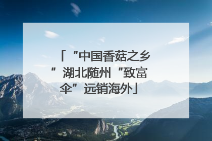“中国香菇之乡”湖北随州“致富伞”远销海外