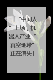 “中间人”上场，机器人产业“真空地带”正在消失