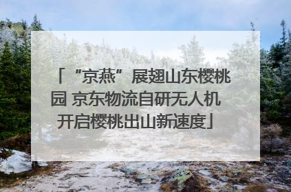 “京燕”展翅山东樱桃园 京东物流自研无人机开启樱桃出山新速度