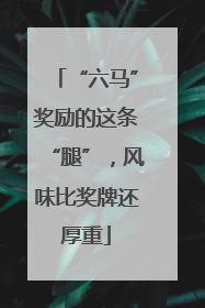 “六马”奖励的这条“腿”，风味比奖牌还厚重