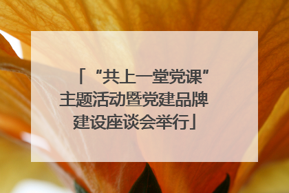 “共上一堂党课”主题活动暨党建品牌建设座谈会举行