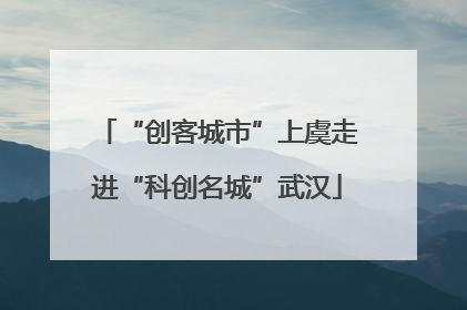 “创客城市”上虞走进“科创名城”武汉