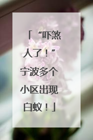 “吓煞人了！”宁波多个小区出现白蚁！