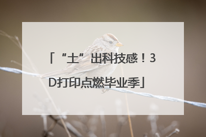 “土”出科技感！3D打印点燃毕业季