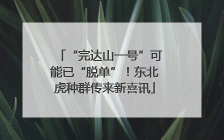 “完达山一号”可能已“脱单”！东北虎种群传来新喜讯