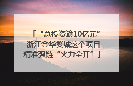 “总投资逾10亿元” 浙江金华婺城这个项目精准强链“火力全开”