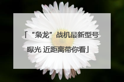“枭龙”战机最新型号曝光 近距离带你看