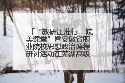 “教研江淮行—皖美课堂”暨安徽省职业院校思想政治课程研讨活动在芜湖高级职业技术学校举行
