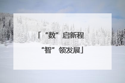 “数”启新程 “智”领发展