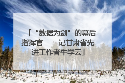 “数据为剑”的幕后指挥官——记甘肃省先进工作者牛学云