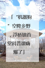 “机器狗”空降乡野，浮桥镇首堂科普课嗨爆了