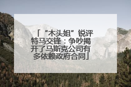 “木头姐”锐评特马交锋：争吵揭开了马斯克公司有多依赖政府合同