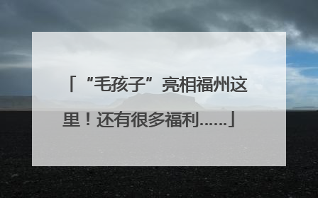“毛孩子”亮相福州这里！还有很多福利……