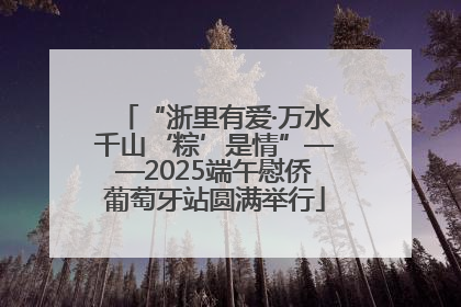 “浙里有爱·万水千山‘粽’是情”——2025端午慰侨葡萄牙站圆满举行