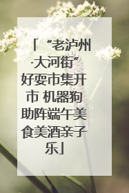 “老泸州·大河街”好耍市集开市 机器狗助阵端午美食美酒亲子乐