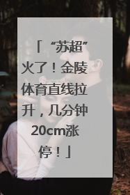 “苏超”火了！金陵体育直线拉升，几分钟20cm涨停！