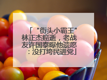 “街头小霸王”林正杰癌逝，老战友许国泰曝他遗愿：没打垮民进党