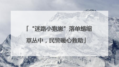 “迷路小狍崽”落单蜷缩草丛中，民警暖心救助