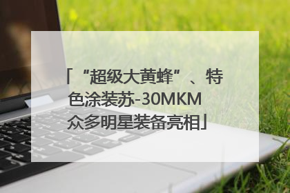 “超级大黄蜂”、特色涂装苏-30MKM 众多明星装备亮相