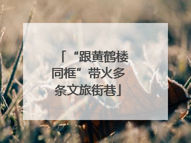 “跟黄鹤楼同框”带火多条文旅街巷