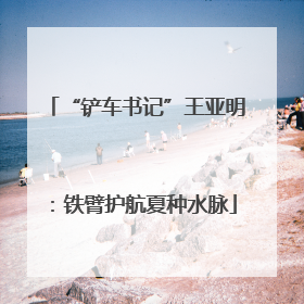 “铲车书记”王亚明：铁臂护航夏种水脉