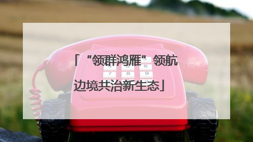 “领群鸿雁”领航边境共治新生态