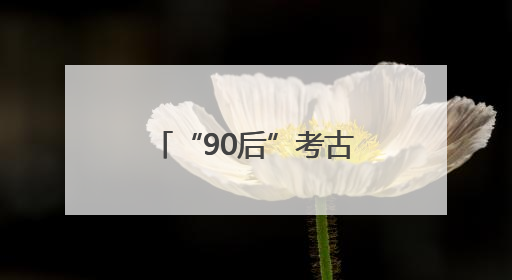 “90后”考古学者的盘龙城情缘：最爱镇馆之宝绿松石镶金饰件