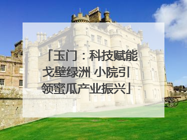 玉门：科技赋能戈壁绿洲 小院引领蜜瓜产业振兴