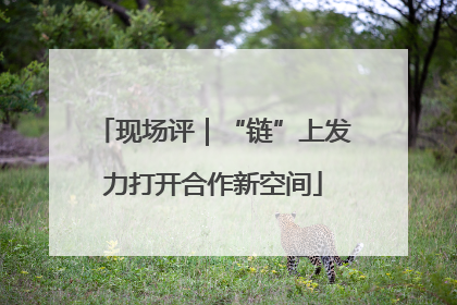 现场评｜“链”上发力打开合作新空间