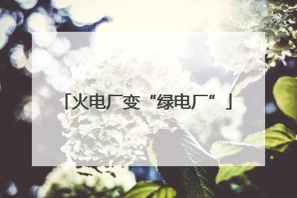 火电厂变“绿电厂”