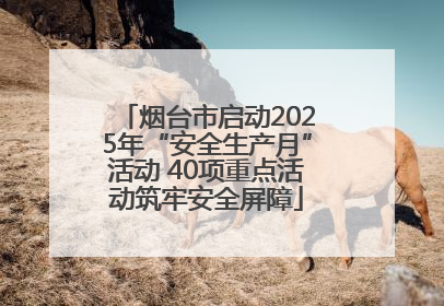 烟台市启动2025年“安全生产月”活动 40项重点活动筑牢安全屏障