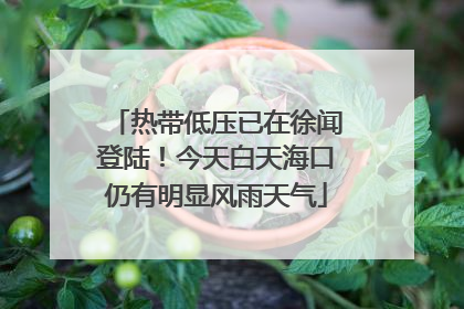 热带低压已在徐闻登陆！今天白天海口仍有明显风雨天气